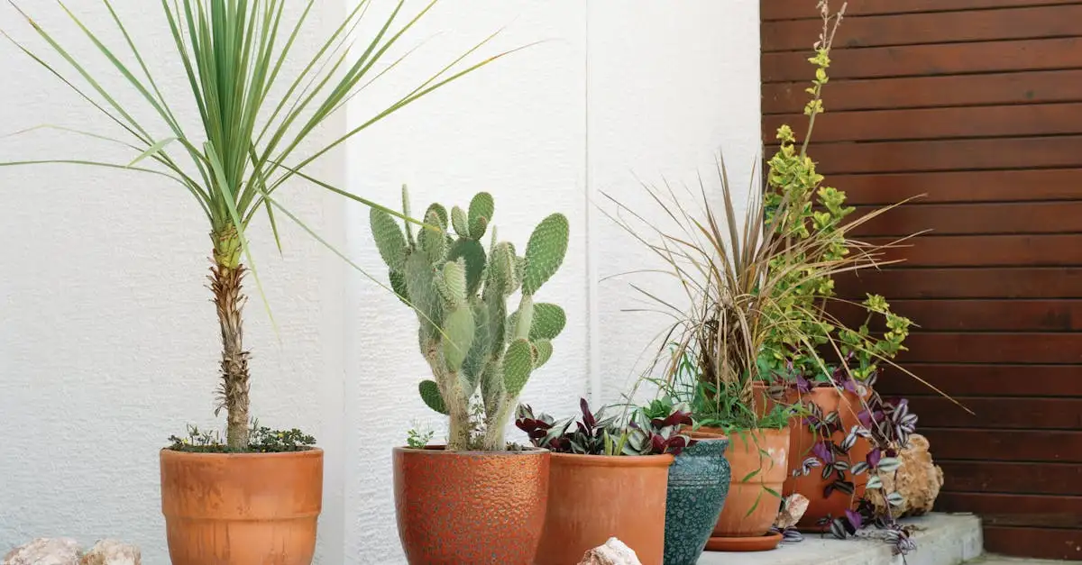 Balkon inrichten Pinterest: Inspiratie en ideeën