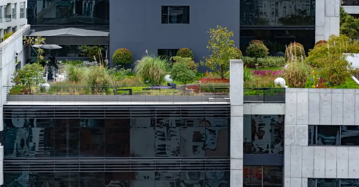 Dakterras inrichten planten