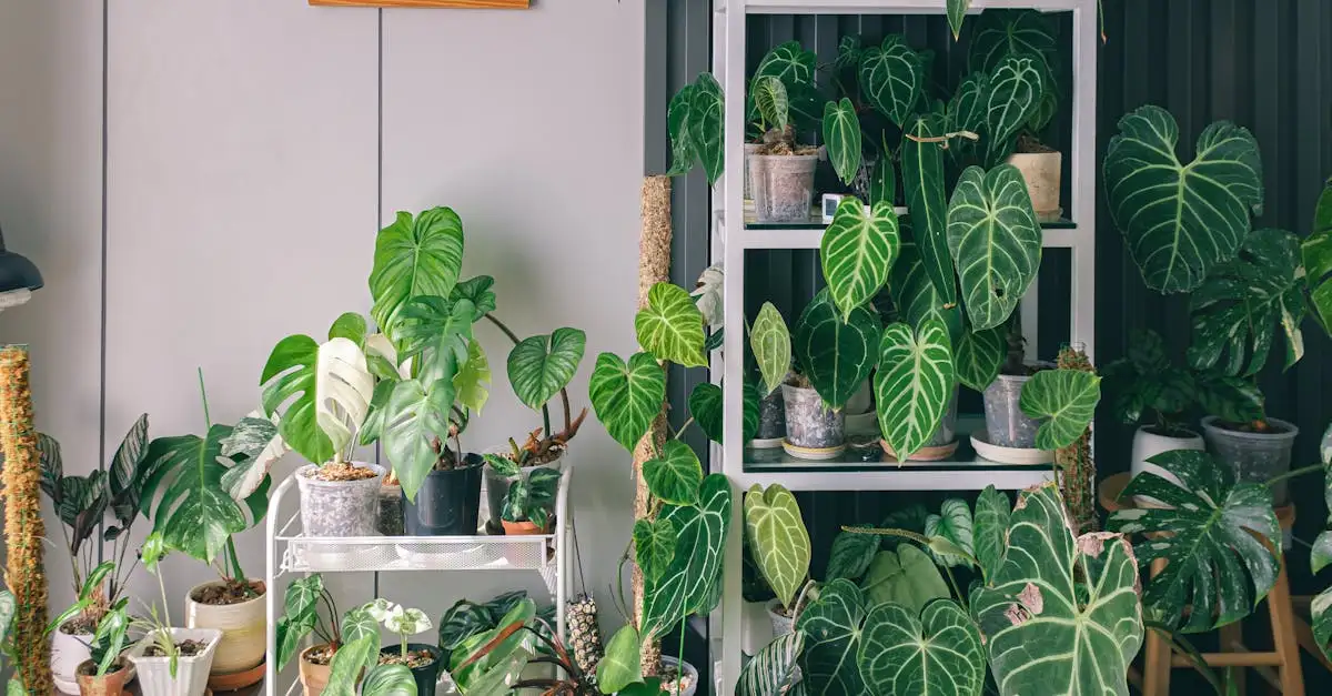 Kinderkamer inrichten met een jungle thema