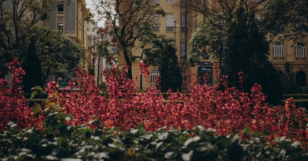 Slimme tips voor de inrichting van je kleine stadstuin