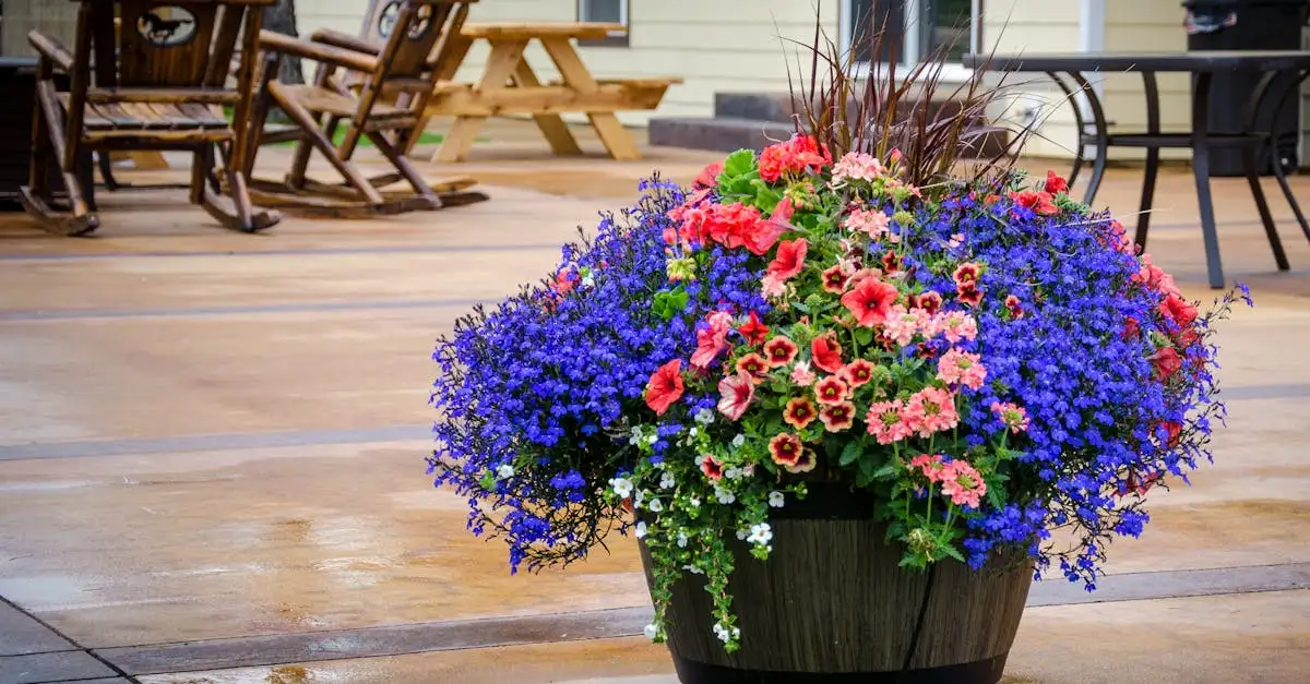Terras inrichten met bloemen: inspiratie en tips